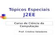Tópicos Especiais J2EE Prof. Cristina Valadares Curso de Ciência da Computação