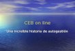 CEB on line Una increíble historia de autogestión