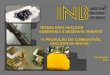 TECNOLOGIA NUCLEAR SOBERANIA E DESENVOLVIMENTO “A PRODUÇÃO DO COMBUSTÍVEL NUCLEAR NO BRASIL” NOVEMBRO 2004 TECNOLOGIA NUCLEAR SOBERANIA E DESENVOLVIMENTO