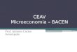 CEAV Microeconomia – BACEN Prof. Antonio Carlos Assumpção