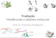 Tradução Modificando o alfabeto molecular Prof. Dr. Francisco Prosdocimi