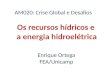 Os recursos hídricos e a energia hidroelétrica Enrique Ortega FEA/Unicamp AM020: Crise Global e Desafios