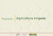 Agricultura Irrigada Programa:. Apresentação e discussão de um exemplo de programa para o PPA 2012-2015 Agricultura Irrigada Objetivo: