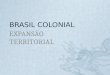 BRASIL COLONIAL EXPANSÃO TERRITORIAL. UNIÃO IBÉRICA – 1580 A 1640