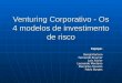Venturing Corporativo - Os 4 modelos de investimento de risco Equipe: Bengt Karlson Fernando Brayner Laís Xavier Leonardo Monteiro Marcellus Tavares Pablo