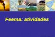 Axel Grael – Feema. 2007 Feema: atividades. Axel Grael – Feema. 2007 INEA Governo do Estado do Rio de Janeiro SEA FEEMASERLAIEF
