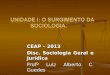 CEAP – 2013 Disc. Sociologia Geral e Jurídica Profº Luiz Alberto C. Guedes