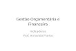 Gestão Orçamentária e Financeira Indicadores Prof. Armando Franco