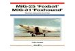 MiG-25 Foxbat and MiG-31 Foxhound
