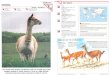 Wildlife Fact File - Mammals  Pgs. 341-343