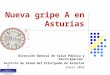 Nueva gripe A en Asturias Dirección General de Salud Pública y Participación Servicio de Salud del Principado de Asturias Enero 2010