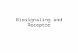 Biosignaling and Receptor