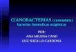 CIANOBACTERIAS (cyanophyta) bacterias fototroficas oxigénicas POR: ANA MILENA CANO LUZ NATALIA CARDONA