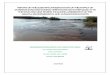 ZELA - Odzi - Save Water Quality Report