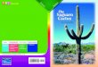The Saguaro Cactus