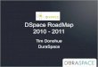 DSpace RoadMap 2010