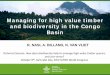 Managing for high value timber and biodiversity in the Congo Basin