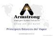 ©2006 Armstrong International, Inc.  Principios Básicos del Vapor