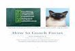 How to-coach-focus