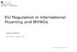 201310_Mvn os and regulation in international roaming