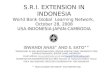 0891  SRI Extension in Indonesia