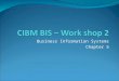 Cibm bis   work shop 2 chapter five