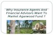 Why insurance agent and financial advisors want to market agarwood investment fund