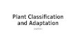 Plant classification and adaptation