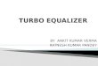 Turbo equalizer