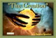 "The Creation" - Funny