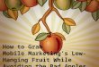 How to Grab Mobile Marketing’s Low-Hanging Fruit While Avoiding the Bad Apples