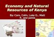 Economy and natural resources of kenya