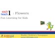 Fun Learning For Kids : Flowers