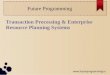 Transaction processing system   future programming
