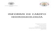 Memoria de Campo de Hidrogeologia en PDF