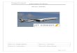 Project Report-Jet Airways