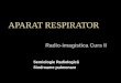 CURS an v MG.respirator IIb