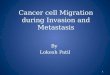 Cancer Cell mechanics during Invasion and Metastasis