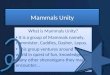 Mammals Unity
