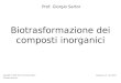 Biotrasformazione dei composti inorganici Prof. Giorgio Sartor Copyright © 2001-2012 by Giorgio Sartor. All rights reserved. Versione 3.5 - nov 2012
