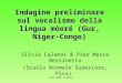 AISV 2005 Salerno Indagine preliminare sul vocalismo della lingua mòoré (Gur, Niger-Congo) Silvia Calamai & Pier Marco Bertinetto (Scuola Normale Superiore,