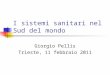 I sistemi sanitari nel Sud del mondo Giorgio Pellis Trieste, 11 febbraio 2011