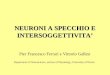 NEURONI A SPECCHIO E INTERSOGGETTIVITA Pier Francesco Ferrari e Vittorio Gallesi Department of Neuroscience, section of Physiology, University of Parma