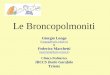 Le Broncopolmoniti. BTS guidelines for the management of comunity acquired pneumonia in childhood. British Thoracic society standards of care committee
