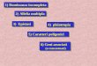6) Geni associati (o concatenati) 6) Geni associati (o concatenati) 5) Caratteri poligenici 3) Epistasi 4) pleiotropia 2) Allelia multipla 1) Dominanza