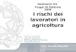 Prof. Antonio Moccaldi I rischi dei lavoratori in agricoltura Seminario UIL Fiuggi 18 febbraio 2009
