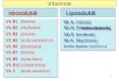 1 Vitamine Idrosolubili Vit. C (acido ascorbico) Vit. B1 (tiamina) Vit. B2 (riboflavina) Vit. B3 (niacina) Vit. B5 (acido pantotenico) Vit. B6 (piridossina)