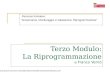 Terzo Modulo: La Riprogrammazione di Franco Vernò Percorso formativo: Governance, Monitoraggio e Valutazione, Riprogrammazione 