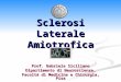 Sclerosi Laterale Amiotrofica Prof. Gabriele Siciliano Dipartimento di Neuroscienze, Facoltà di Medicina e Chirurgia, Pisa