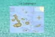 Le Galapagos. La geografia delle Galapagos Le Galápagos, note anche come Arcipelago di Colombo, sono un arcipelago di quattordici isole vulcaniche (otto